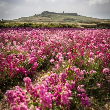 Penzion Id Dar Ta Censu Qala